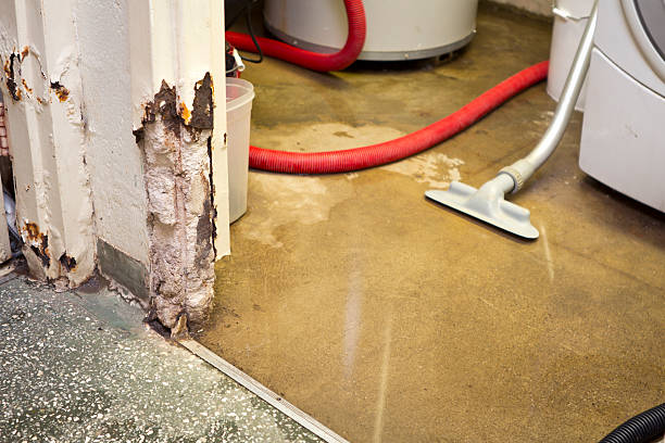 emergency basement leak repair company Hernando