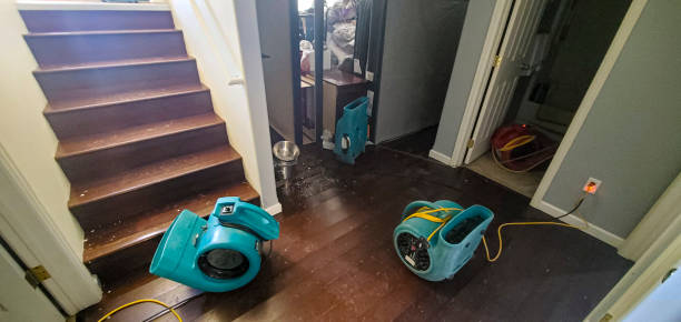 water damage cleanup Hernando
