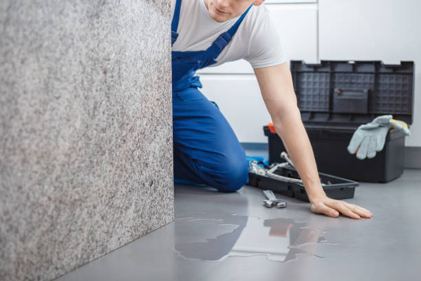 disaster restoration Hernando