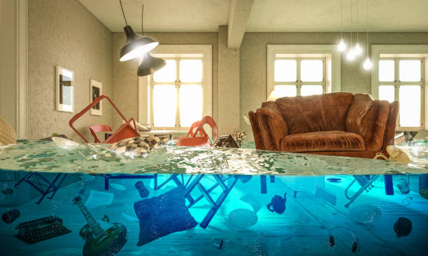 Water Damage Restoration Hernando, MS